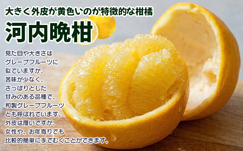 【先行予約】＜天晴晩柑（河内晩柑）約3.5kg 愛媛県明浜産 ＞『2027年4月上旬～5月下旬迄に順次出荷予定』家庭用 果物 柑橘 みかん 和製 グレープフルーツ 食べて応援 特産品 愛媛県 西予市【