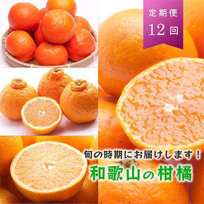 ふるさと納税 湯浅町 【発送月固定定期便】季節の柑橘定期便A【フルーツ定期便】【和歌山県有田】全12回