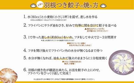 「餃子みのる」手づくり生餃子（餃子60個＆生姜餃子30個 合計90個） 冷蔵 国産 防腐剤不使用