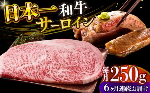 【全6回定期便】【A4～A5】長崎和牛サーロインステーキ　250g（250g×1枚）【株式会社 MEAT PLUS】 [DBS083]長崎和牛 和牛 国産 牛肉  長崎和牛 サーロイン ステーキ　250g 250g 1枚6回定期便 定期便 6回 6万円 60000円 以上
