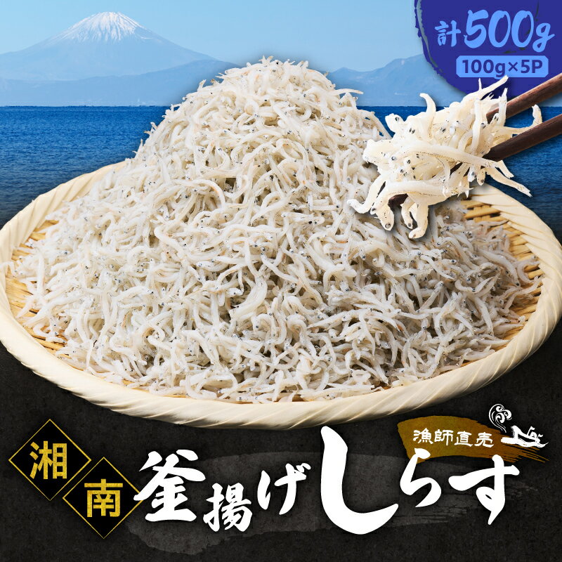 【ふるさと納税】 しらす漁師直売 湘南釜揚げしらすセットA 計500g しらす 釜揚げしらす ふんわり食感 湘南しらす 冷凍 湘南 かながわの名産 かながわブランド とれたて 直送 君栄丸 しらす丼 魚 魚介 君栄 神奈川県 三浦市 おすすめ ランキング プレゼント ギフト