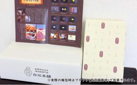 あん入り醤油餅・すや醤油餅 計10個セット 和菓子 もち菓子 菓子 お菓子 焼菓子【SH003_x】