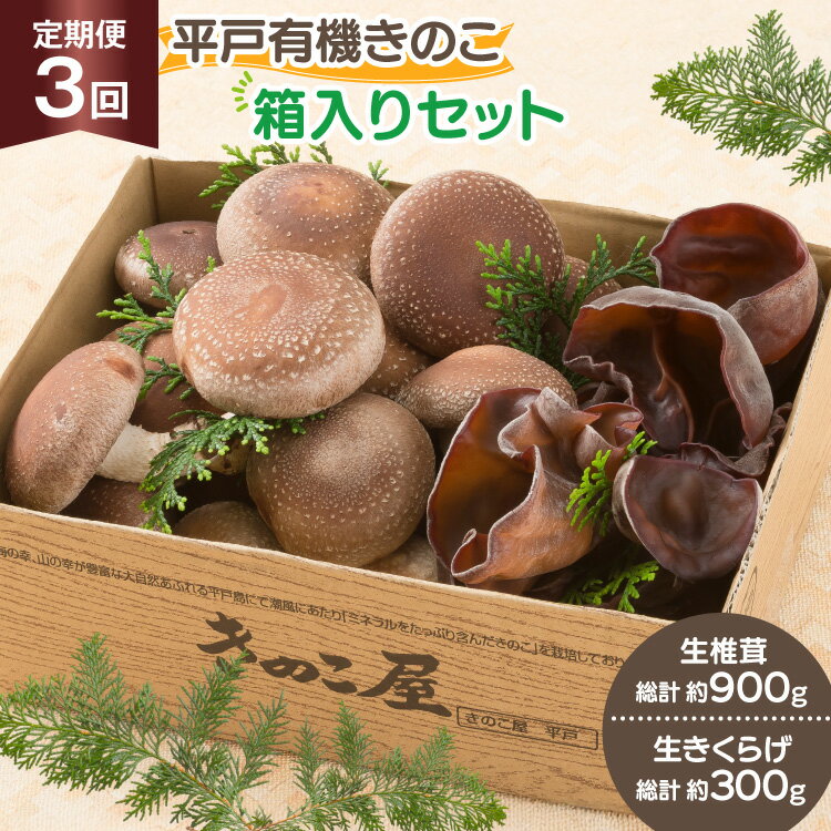 【ふるさと納税】 きのこ しいたけ きくらげ 生椎茸 生きくらげ 箱入りセット 3回 定期便 [きのこ屋 長崎県 平戸市 hr42bgy410431] 有機 有機JAS 有機栽培 有機きのこ 有機しいたけ 箱入り ギフト セット