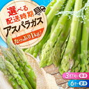 【ふるさと納税】三次の恵みをおふくわけ 朝採れ アスパラガス（約1kg）とれたて アスパラ 旬 野菜 三次市/福分アスパラ[APAU001]