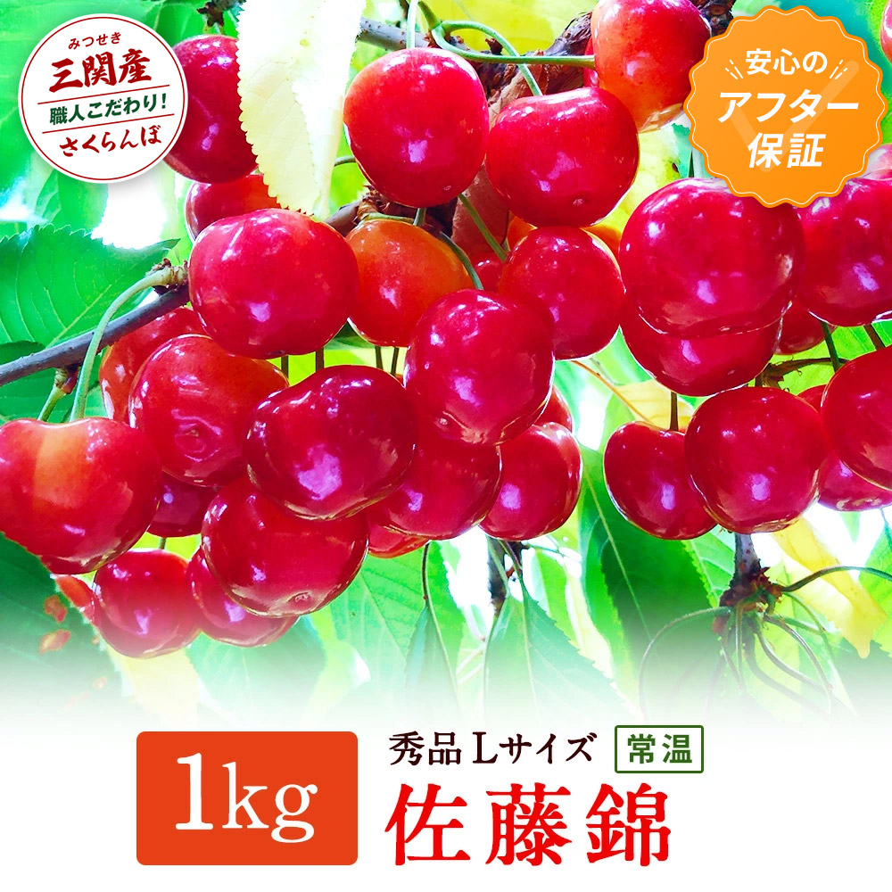 ＼朝採れ 産地直送／ R8年度産 佐藤錦 秀L 1kg 市場価値の高い 三関産 さくらんぼ こだわりの【常温】でお届け 訳あり フルーツ 果物 お取り寄せ 秋田 湯沢市 期間限定 サクランボ 数量限定  【奥山果樹園】[H1-7801]