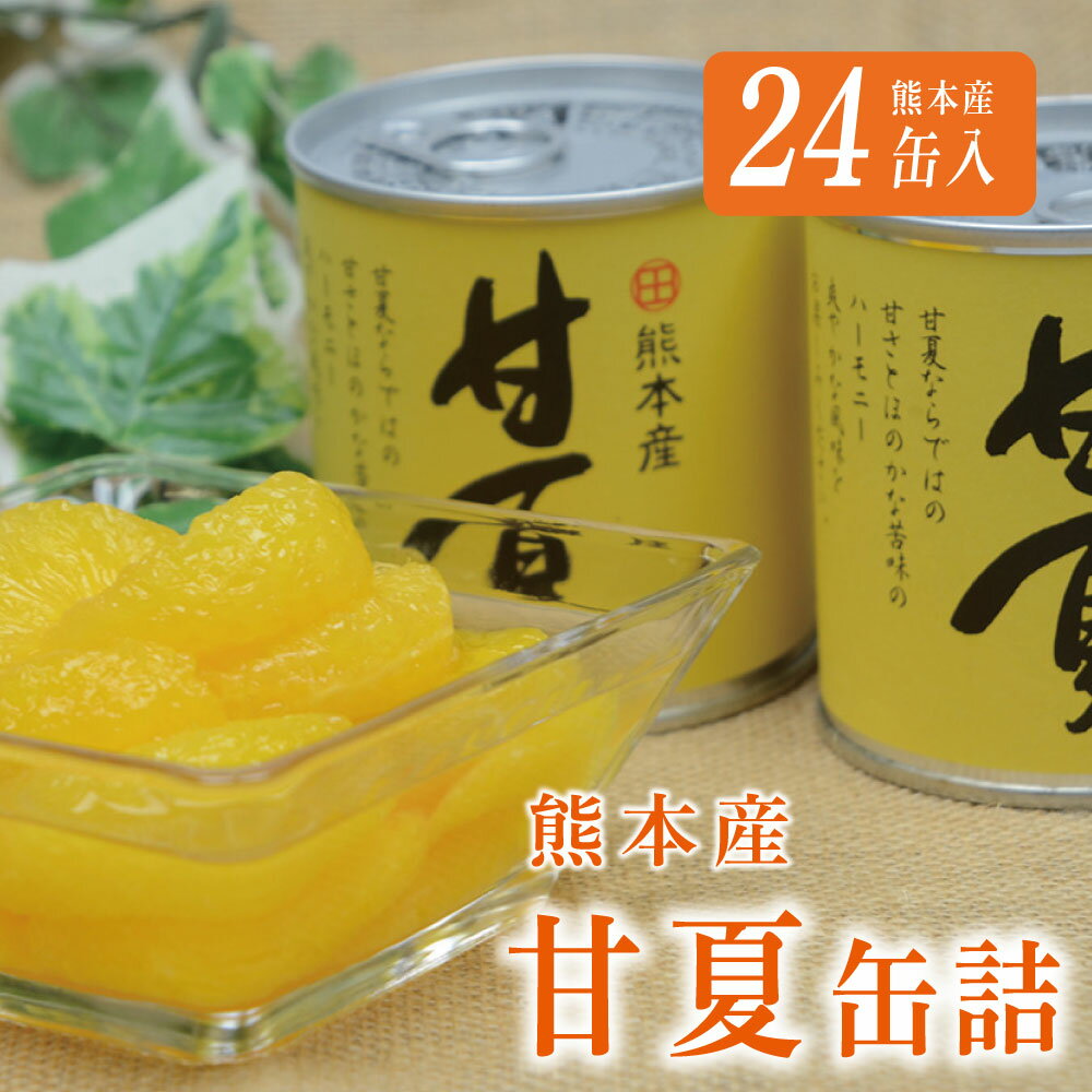 【ふるさと納税】缶詰 セット ギフト かんづめ 甘夏 夏みかん みかん 保存食　甘夏缶詰（24缶入）