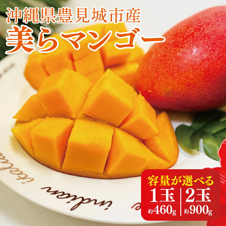 【ふるさと納税】【2025年6月より順次発送】【先行予約】【選べる内容量】美らマンゴー｜沖縄県 豊見城市 マンゴー 美らマンゴー フルーツ 果物 くだもの 希少 おきなわマンゴー(AE001)