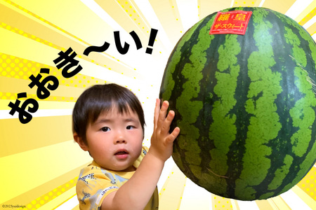 CG059 【令和9年度出荷分】絶品！大玉スイカ～羅皇（ラオウ）～（7kg以上）