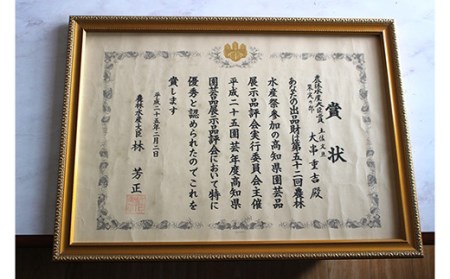 土佐文旦 5kg 贈答用 文旦