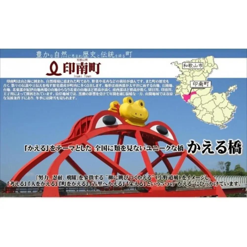 いなみなみなみだしセット