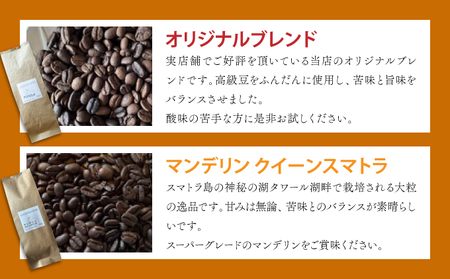 自家焙煎 コーヒー豆 マンデリン レイクタワール 100g×3個セット 300g