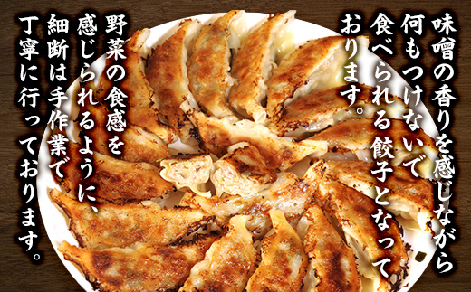 【食感と昆布だしにこだわり】 【2回定期便】お酒によく合う味噌餃子40個(10個×4箱) ※沖縄・離島への配送不可