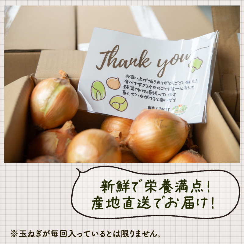 訳あり 野菜 4～6品目 詰め合わせ セット 旬野菜 新鮮 国産 農家直送 産地直送 生産者直送 クール便 冷蔵 お取り寄せ ご当地 特産物 徳島県 阿波市 四国