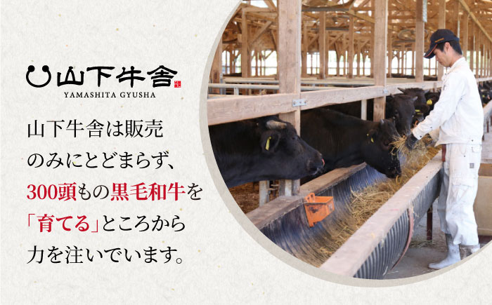 【霜降り A5ランク】佐賀牛 ロース 焼肉用 800g (400g×2パック)【山下牛舎】 [HAD051]