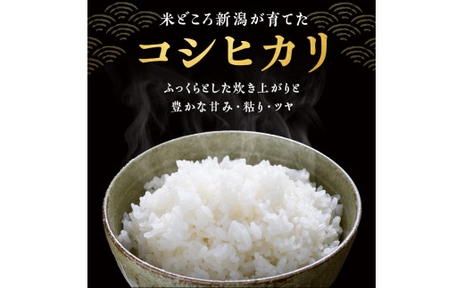 R8年産 新潟県産 コシヒカリ  5kg 3か月定期便 新潟県 新潟市産 令和8年産 お米 精米 米 ご飯 送料無料