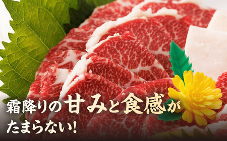 【6回定期便】特選霜降り馬刺し（中トロ）計600g（6pc）＋タレ大【馬刺しの郷 民守】 九州 冷凍 特選 中トロ トロ  [ZBL071]