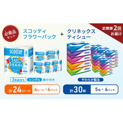 ふるさと納税 岩沼市 【6ヶ月ごと計2回お届け】ティッシュ+トイレットペーパー6P[No.5704-1797] |  | 01