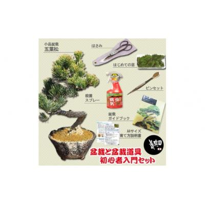 ふるさと納税 池田市 養庄園 盆栽と盆栽道具 初心者入門セット