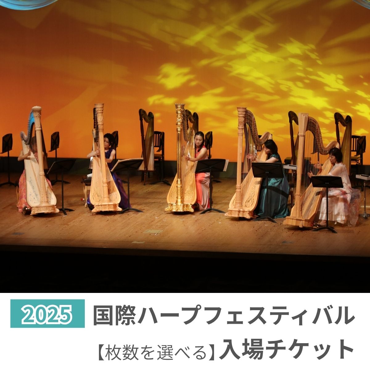 【ふるさと納税】国際ハープフェスティバル2025-草加市 メインコンサート入場チケット | ハープ フェスティバル 音楽祭 国内最大級 入場券 イベント チケット 埼玉県 草加市