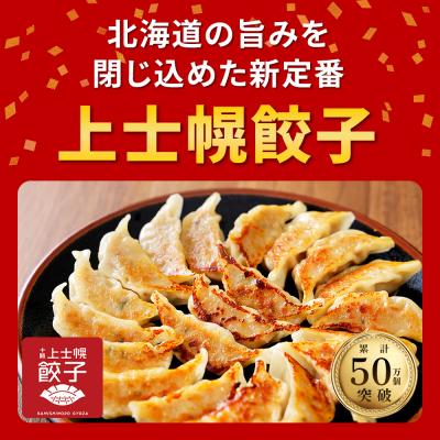 ふるさと納税 上士幌町 上士幌 餃子 計60個(20個入×3袋) ぎょうざ ギョウザ 国産 北海道産 |  | 01