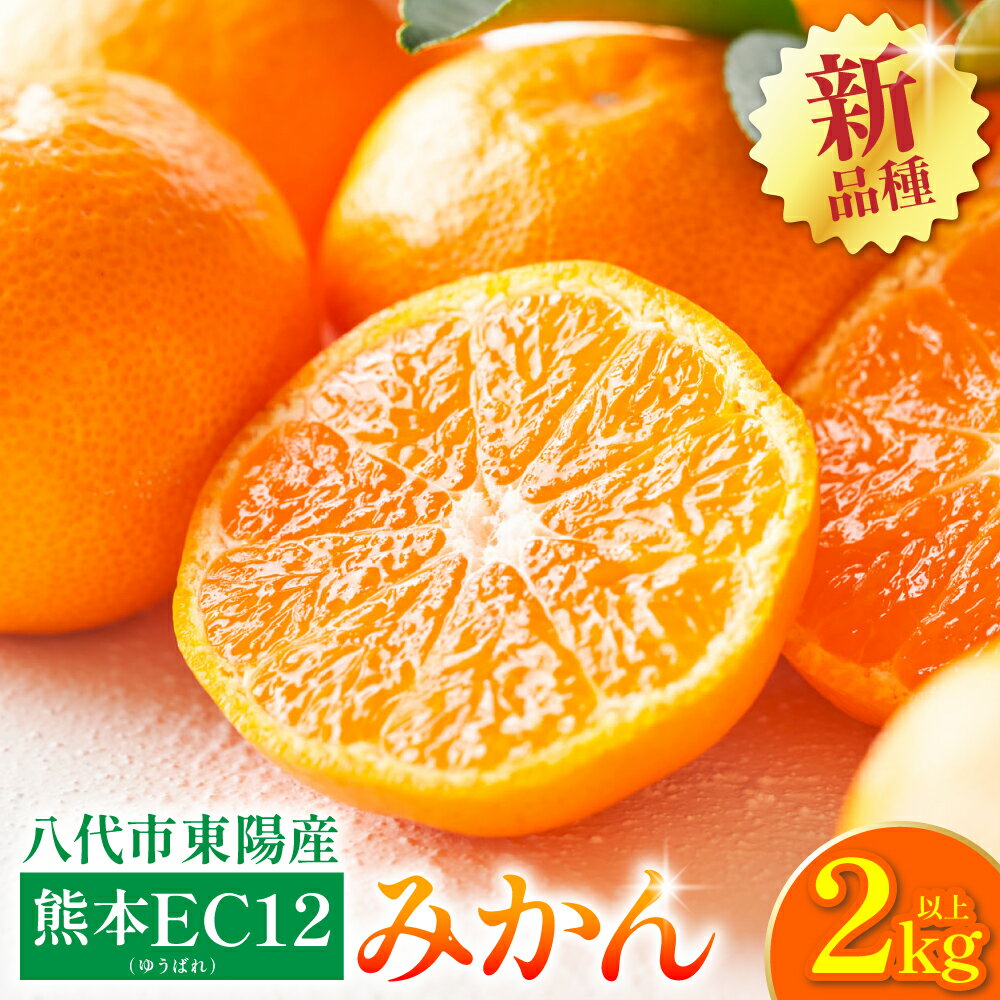 【ふるさと納税】【先行予約】 八代市 東陽産 EC12みかん 2kg以上入り(8玉～20玉) 柑橘 ミカン くだもの 果物 フルーツ デザート 送料無料 【2025年11月下旬より順次発送】
