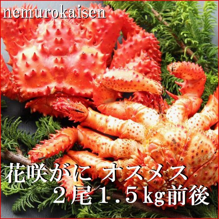 【ふるさと納税】[北海道根室産]花咲ガニオスメス(内子入り)各1尾(計1.5kg前後) C-57062