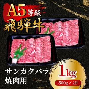 飛騨牛5等級 サンカクバラ焼肉用1kg(500g×2P)　FTA285【配送不可地域：離島】【1578303】