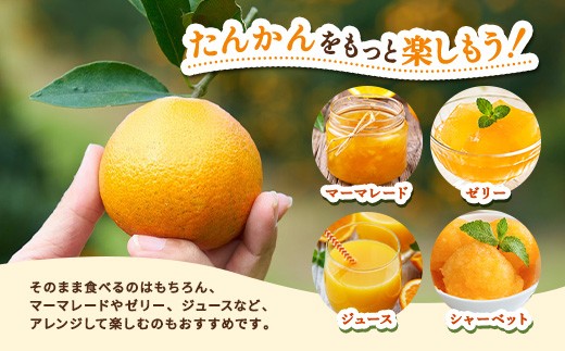 たんかんをもっと楽しもう！