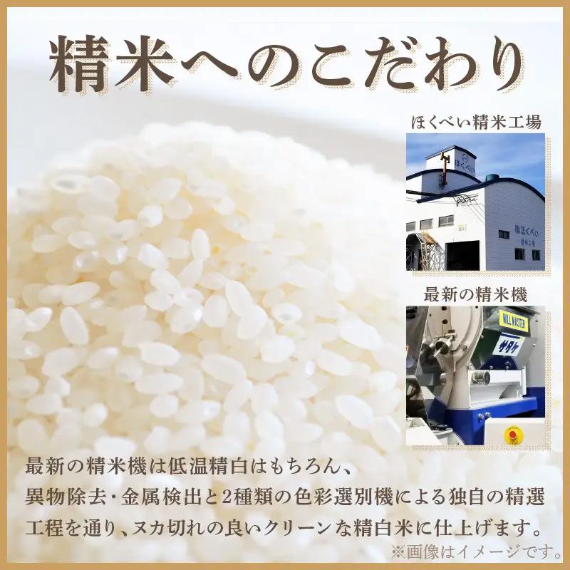 《7営業日以内に発送》令和7年産 ななつぼし 極 10kg 北海道産 精白米 最高ランク 特A ( お米 米 精米 5キロ 10キロ 北海道産 精白米 )【080-0105】