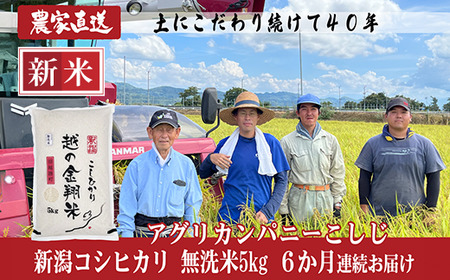 J8-7MN056【6ヶ月連続お届け】新潟県長岡産コシヒカリ無洗米5kg（特別栽培米）