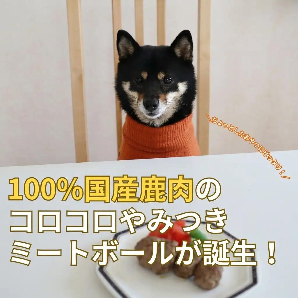 鹿肉 犬用 10パック 約60g 加工食品 お肉 鹿肉
