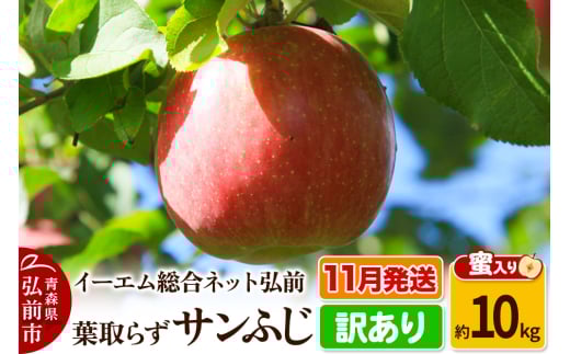 りんご【11月発送】【訳あり】葉取らず サンふじ 約10kg 糖度 13度以上【蜜入り】EMりんご