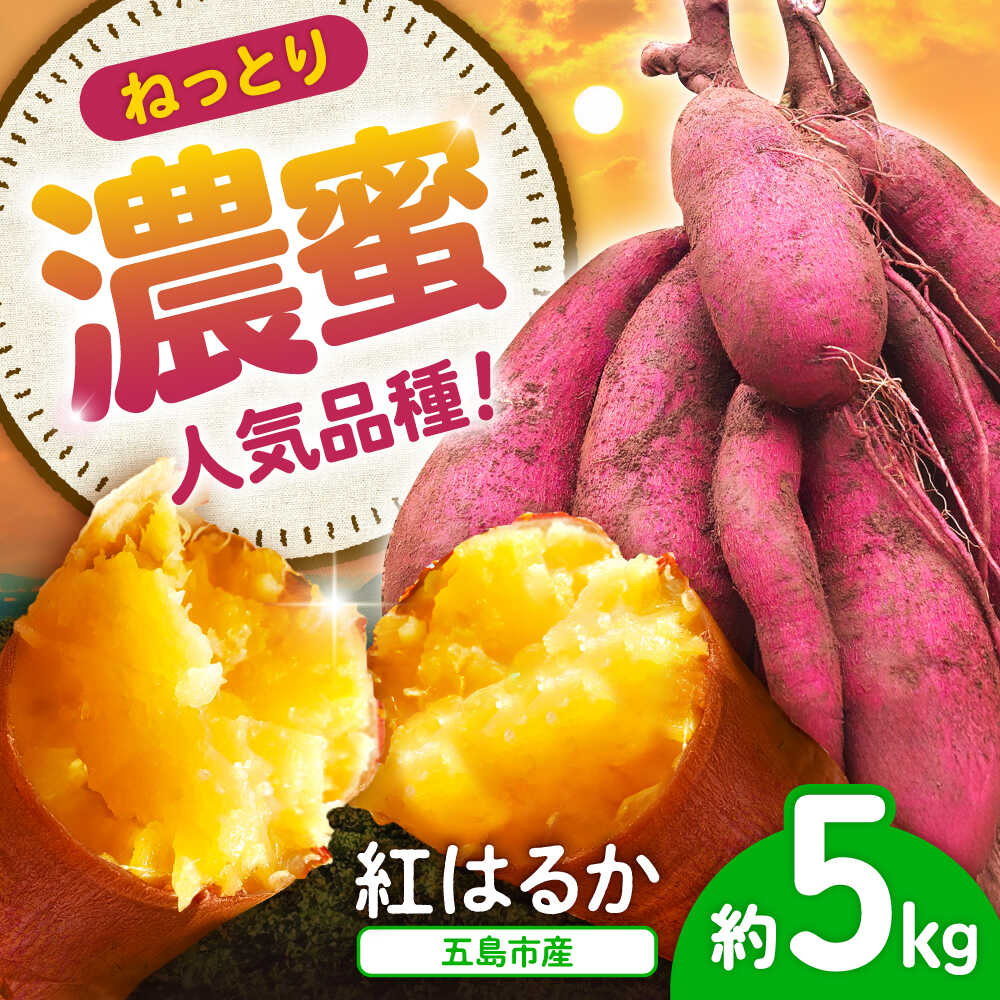 【ふるさと納税】【2025年10月より発送】島の元気なさつまいも!ねっとり甘い『紅はるか』5kg 五島市/あわたに農園[PGO002] さつまいも 紅はるか 甘い ねっとり 野菜