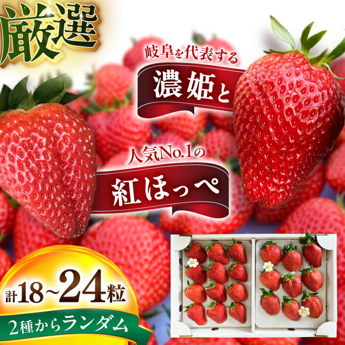 【ふるさと納税】いちご 濃姫・紅ほっぺ（18粒〜24粒）1箱 組み合わせ イチゴ 苺 果物 ストロベリー フルーツ ケーキ くだもの 旬 生鮮食品 甘い ジューシー デザート 食べ比べ セット 詰め合わせ産用 高級 特産品 名産品 ギフト 人気 岐阜市 / さかい農園[ANFO001]