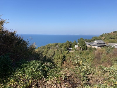 訳あり 薪 広葉樹 15kg～18kg 自然乾燥 菜の花薪 丸薪 アウトドア キャンプ｜B221