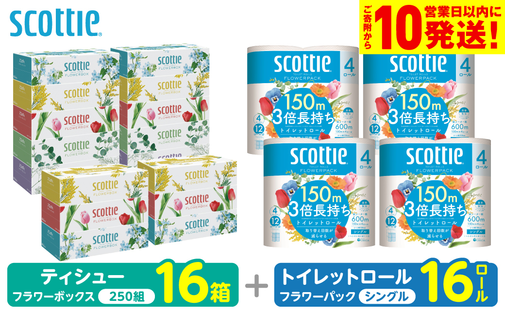 【スコッティ】 組み合わせ ティシュー フラワーボックス 250組 16箱 トイレットロール シングル フラワーパック 3倍長持ち 16ロール ティッシュ トイレットペーパー 日用品 防災備蓄 ストック 備蓄 新生活 防災 消耗品 生活用品 日用消耗品 箱ティッシュ