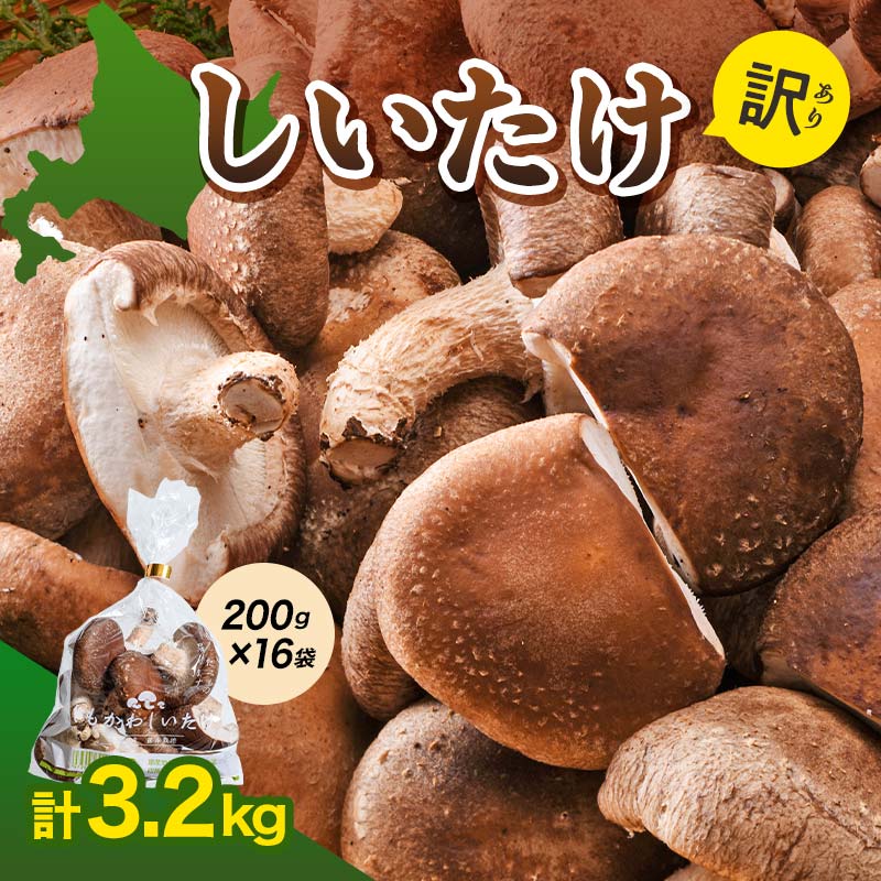 【ふるさと納税】 ＜配送月が選べる＞生しいたけ【形が悪いなどの訳あり品】3.2kg（200g×16袋） 不揃い シイタケ 椎茸 食べ応え おすそ分け 小分け 便利 北海道産 F4G-0261var