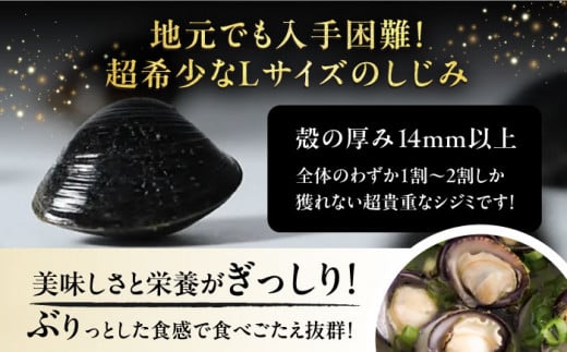 地元でも入手困難なレアサイズ！ Lサイズ 宍道湖産ヤマトシジミ(冷凍砂抜き済み)1kg×3袋(3kg) 島根県松江市/宍道湖漁業協同組合 [ALAZ002]