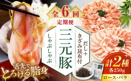 【全6回定期便】 三元豚 しゃぶしゃぶセット 計500g（ロース・バラ） だし・昆布付き 《喜茂別町》【平田牧場】 肉 豚肉 ロース バラ ロース肉 バラ肉 しゃぶしゃぶ 鍋 お鍋 冷凍配送 定期便[AJAP016]