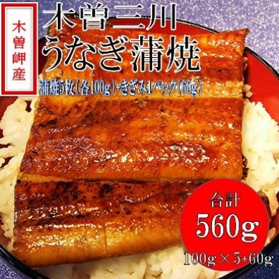 「2024年4月発送」木曽岬産「木曽三川うなぎ」うなぎ蒲焼5枚(各100g)+おまけ(60g)付【配送不可地域：離島】【1470887】