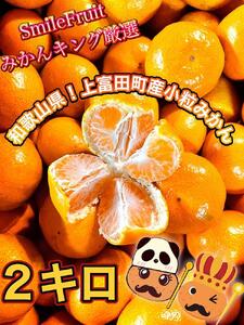 ［先行予約］小粒みかん2kg　高糖度！みかんの里！［SmileFruitみかんキング厳選］2026年10月下旬以降順次発送