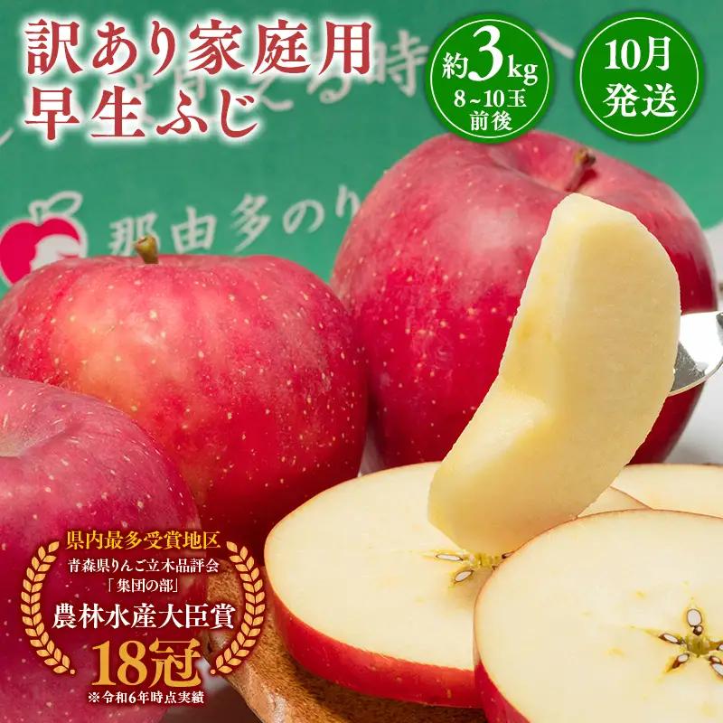 りんご 家庭用 早生ふじ 約3kg 【hi-0005-044】