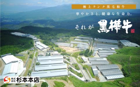 熊本県産黒毛和牛　黒樺牛ロースステーキ　400ｇ×3回【定期便】