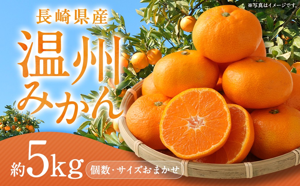 
                  長崎県産 温州みかん 5kg (個数・サイズ おまかせ) ／ フルーツ 果物 くだもの 果実 ミカン 蜜柑 柑橘 長崎県 長崎市 川口農園 アフター保証 【2026年11月下旬-2027年1月下旬発送予定】
                