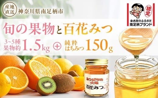 旬の果物とはちみつのセット【 はちみつ 蜂蜜 ハニー 神奈川県 南足柄市 】