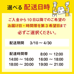 【先行予約】ほたるいか　ボイル＆刺身皿盛りファミリーセット※着日指定は備考欄へ　※25年3月中旬以降順次発送予定【(有)カネツル砂子商店】