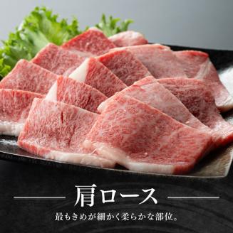 宮崎牛 赤身 霜降り 焼肉 2種 400g　牛肉[E11105]