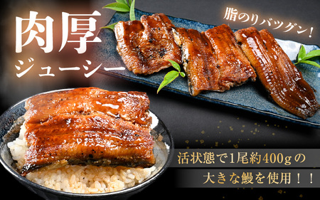 【通常発送：50セット限定】 無頭 うなぎ白焼き 1尾 （約250g） 3カット済 特製自家製たれ付き 【冷凍】 【ウナギ 鰻 蒲焼 鰻蒲焼 鰻白焼 肉厚 ジューシー 惣菜 和食 簡単調理】 [A-1