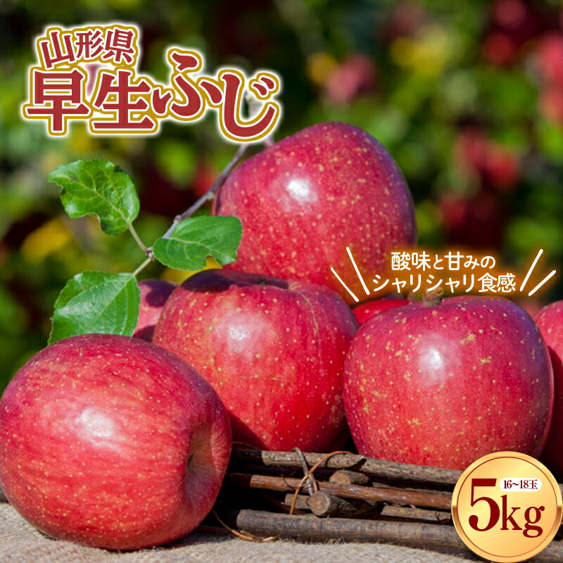 【ふるさと納税】 【先行予約 2026年度発送】山形県産 早生ふじ りんご 約5kg リンゴ 林檎 デザート フルーツ 果物 くだもの 果実 食品 山形県 FSY-0804