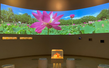 古代蓮会館・夜間特別鑑賞券～展望室から夕日と夜景を貸切で！～ No.338